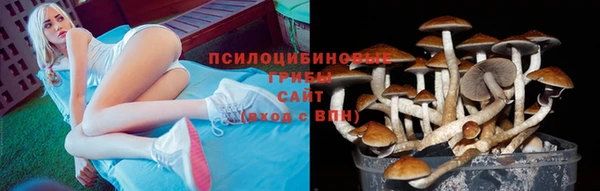 амф Волосово